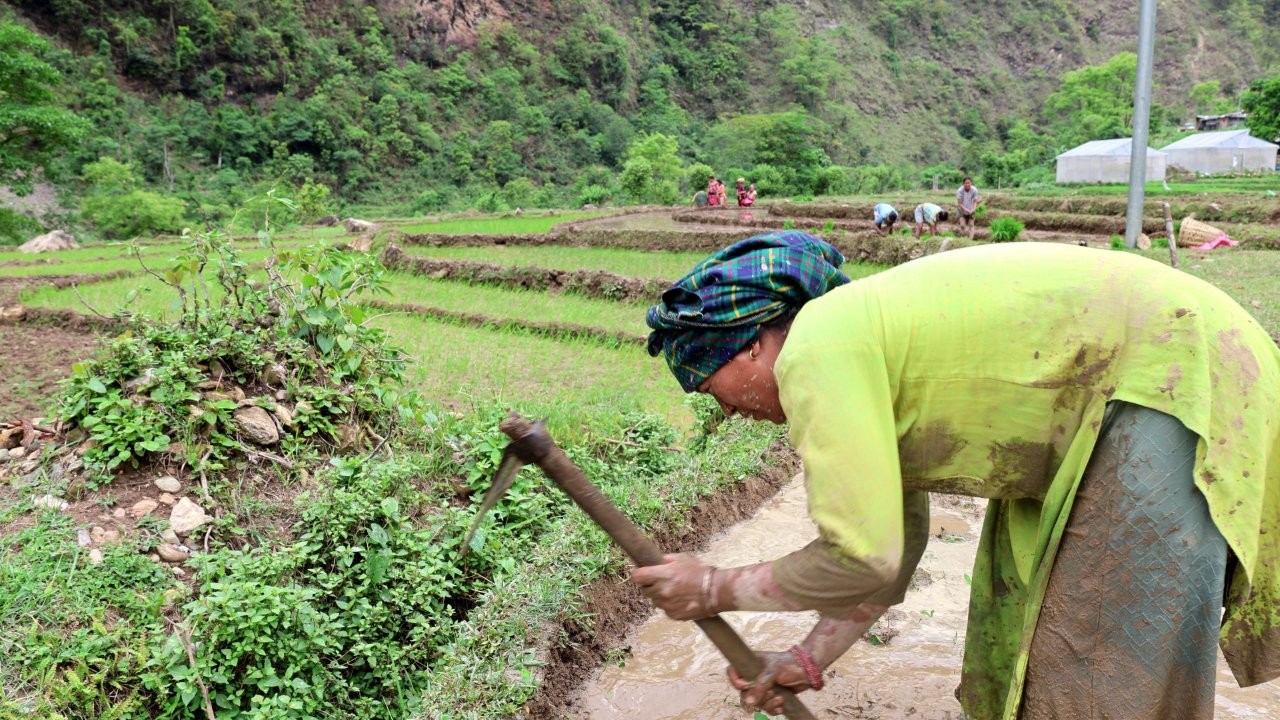 Rabi Babal Magar is busy preparing the field for rice planting © UN-Habitat Nepal/Hari Jang Thapa