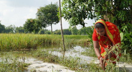 Getting Ahead of the Floods in Nepal