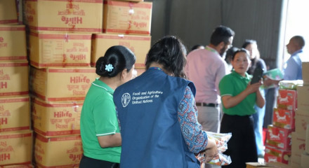 FAO's Rapid Response on the Ground