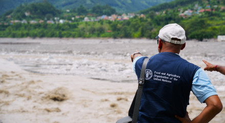 FAO's Veterinary Support for Flood-Affected Livestock